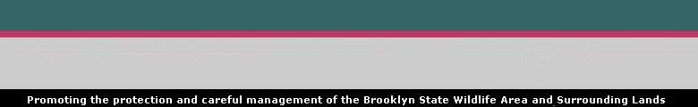 Friends of Brooklyn State Wildlife Area